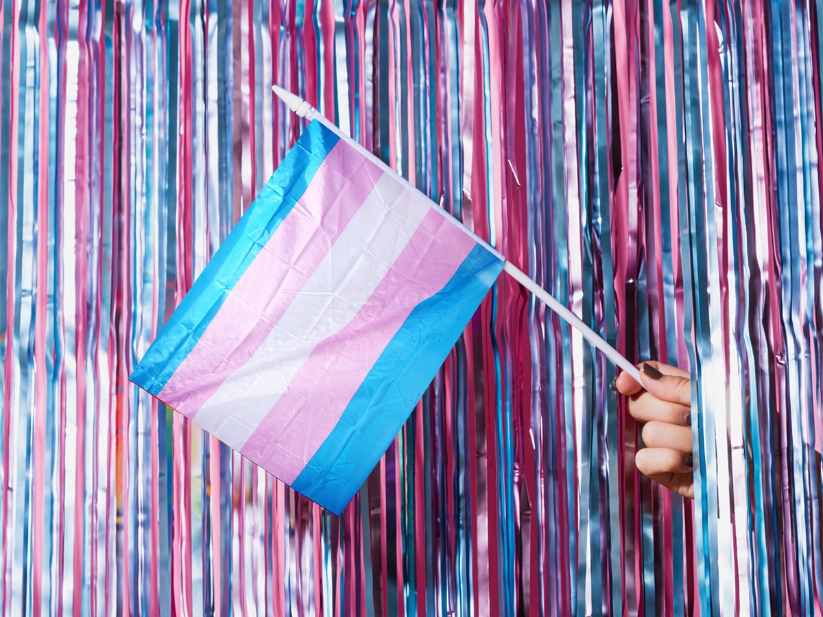 trans sohbetler,azınlık stresi